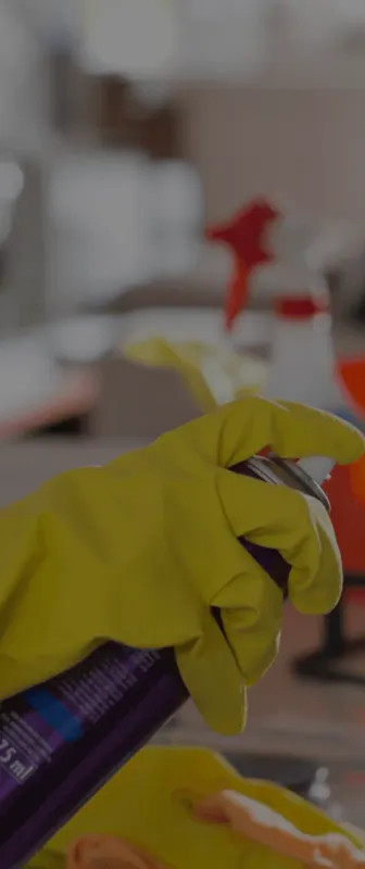 Reliable Residential & Commercial Cleaning in San Diego, CA